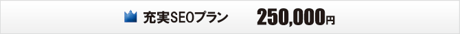 充実SEO対策プラン 充実SEO対策プラン