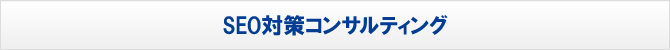 SEO対策コンサルティング SEO対策コンサルティング