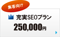 �[��SEO�΍�v����