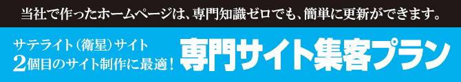 専門サイト集客プラン 専門サイト集客プラン