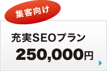 �[��SEO�v����