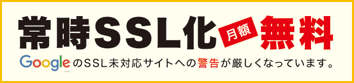 펞SSL