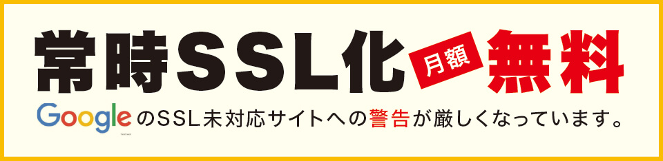 펞SSL