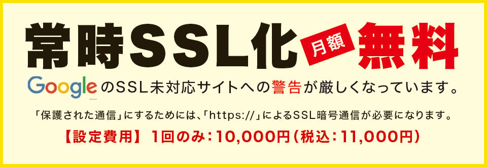 펞SSL